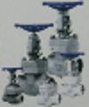 Forged Steel Valves