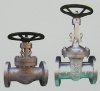 INDIAN Gate Valves