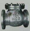 Non Return Valves