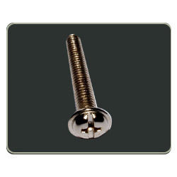 Washer Head Screw