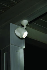 Motion Sensor LED Spot Light (BI-04)