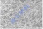Nanomaterials