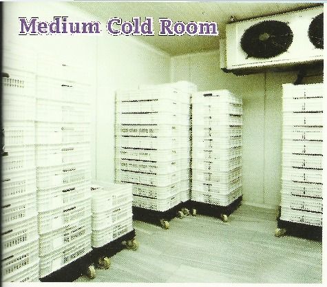 Medium Cold Storage System