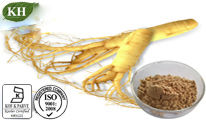 High Quality Ginseng Extract Ginsenosides 5%-80%