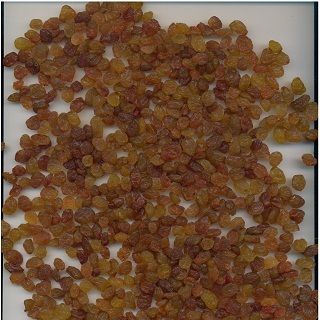 Malayer Raisin