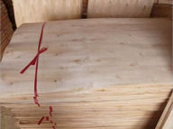 eucalyptus core veneer