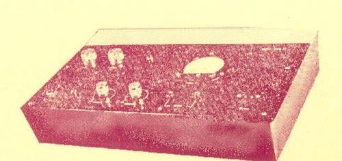 Bracelets Galvanic Stimulator ( Model-16819 Te)