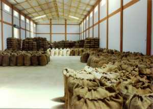 Rice Mill Warehousing Services