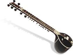 Semi-Automatic Musical Sitar