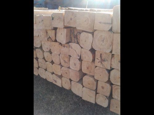 Pine Wood Blocks and Planks