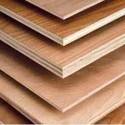 Veneer Plywood