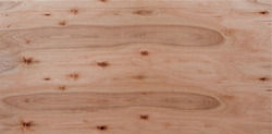 100 WBP Eucalyptus Plywood