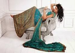 Choli Embroidered Sarees