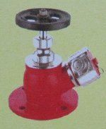 Stainless Steel Valve