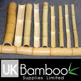 Bamboo Split