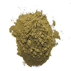 Dehydrated Green Chilli Powder