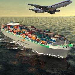 Sea Freight Service By ACE MULTIFREIGHT LOGISTICS PVT LTD.