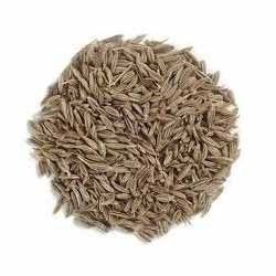 Cumin Seed