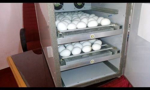 buying an incubator for eggs