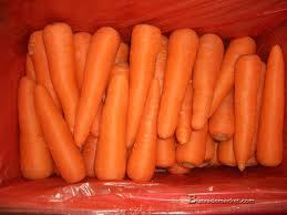 Fresh Carrots