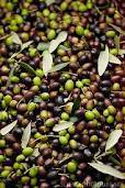 Fresh Olives