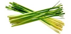 Lemon Grass Sticks