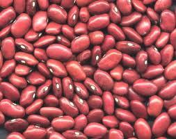 Kidney Beans