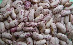 Light Spekled Beans