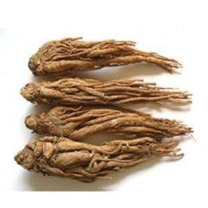 Angelica Sinensis Extract