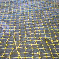 Safety Nets