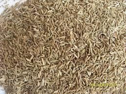 Cumin Seeds