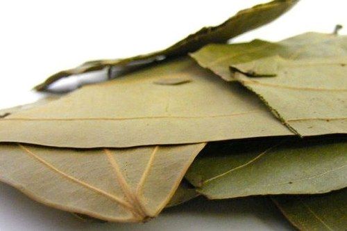 Bay Leaves