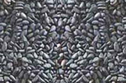 Black Sesame Seeds