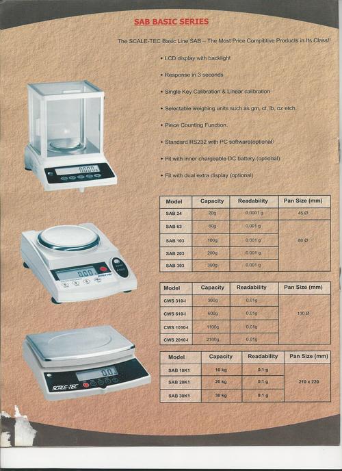 Electronic Weighing Scale And Weigh Bridge