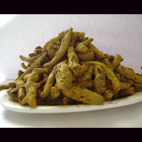 Turmeric Finger At Best Price In Coimbatore Tamil Nadu Alobha Exim