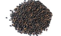 Black Pepper