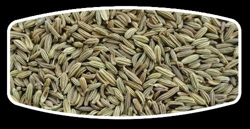 Fennel Seeds