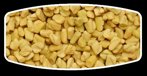 Fenugreek Seeds