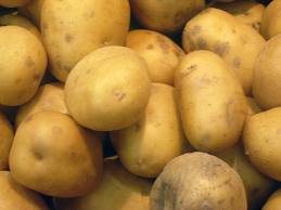 Fresh Potatoes By GETAWAY GLOBAL TRADE