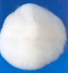 White Silica Gel Powder