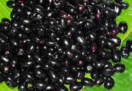 Jamun Seed