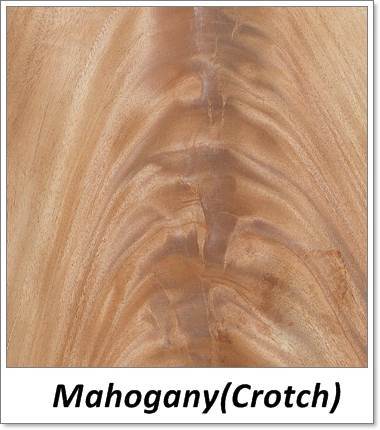 Mahogany Crotch