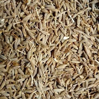 Whole Cumin Seeds