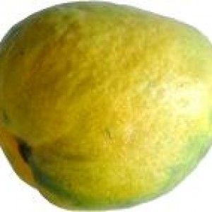 Malgova Mangoes
