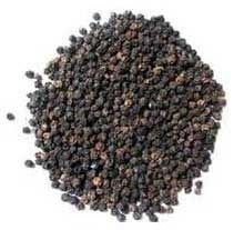 Black Pepper Seeds