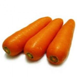 Carrot