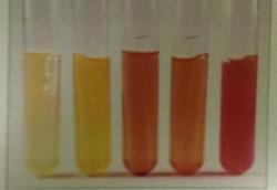 Phenol Red (Ph Indicator)