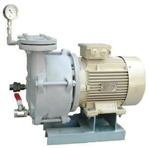 Monoblock Water Ring Vacuum Pump