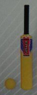 Plastic Cricket Bat And Ball (Sl 5201)