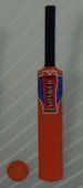 Plastic Cricket Bat and Ball (SL 5202)